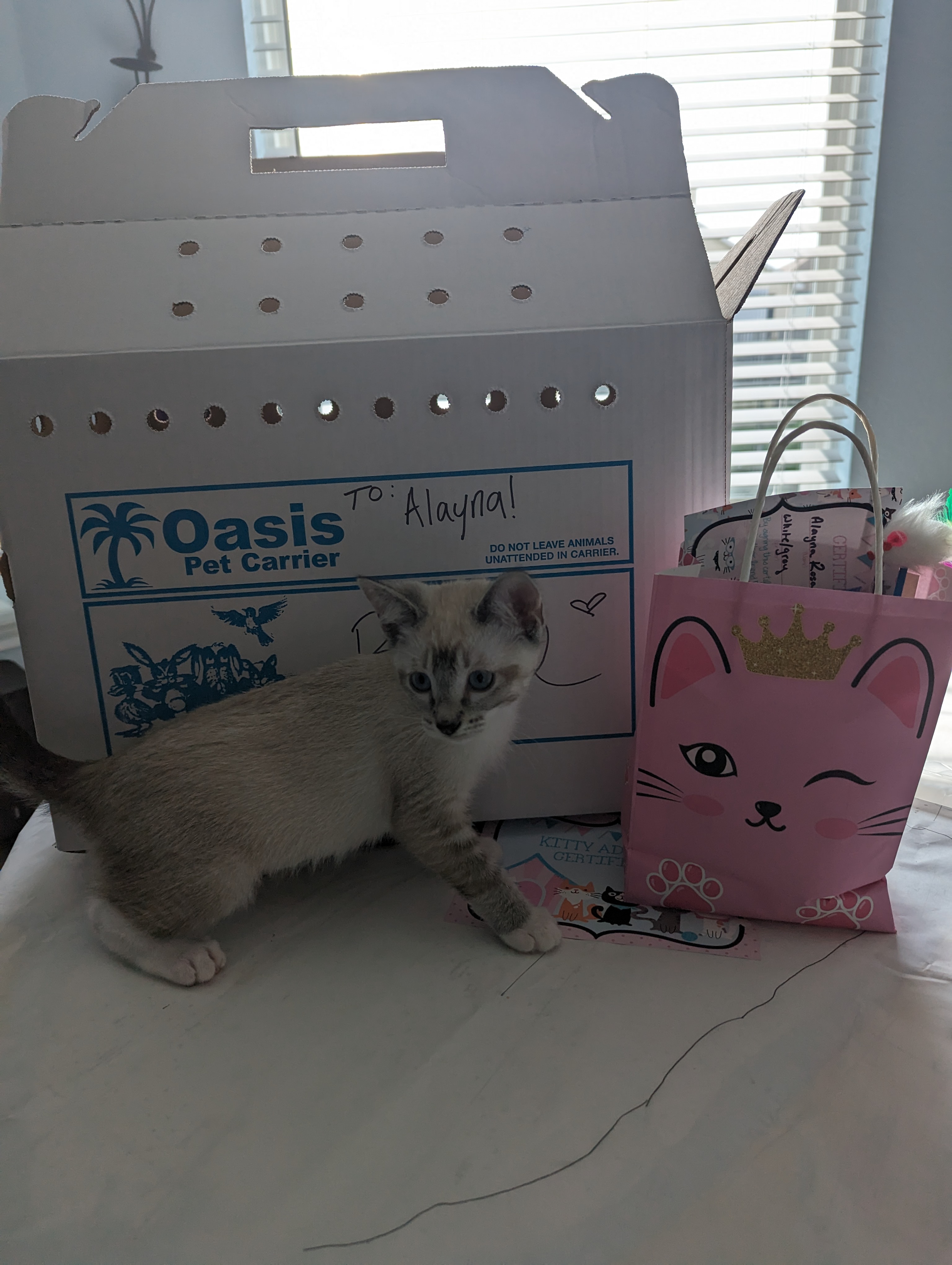 Helping animals